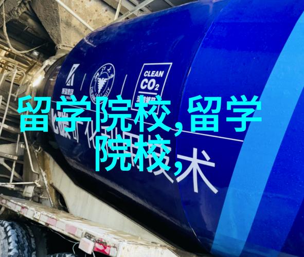 咨询服务国际教育规划语言预科课程大学录取策略